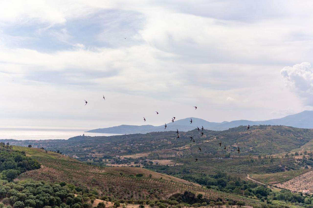 Corte Degli Ulivi Terradura Buitenkant foto
